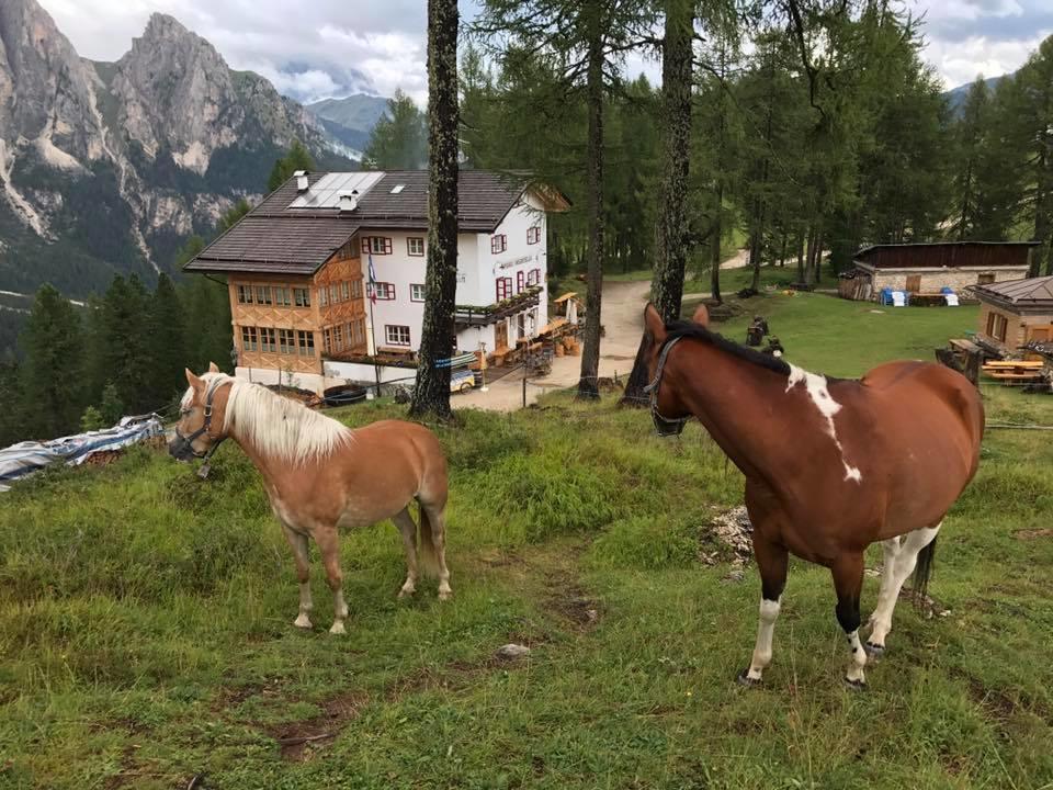 Hotel Rifugio Negritella Pozza di Fassa Exterior foto